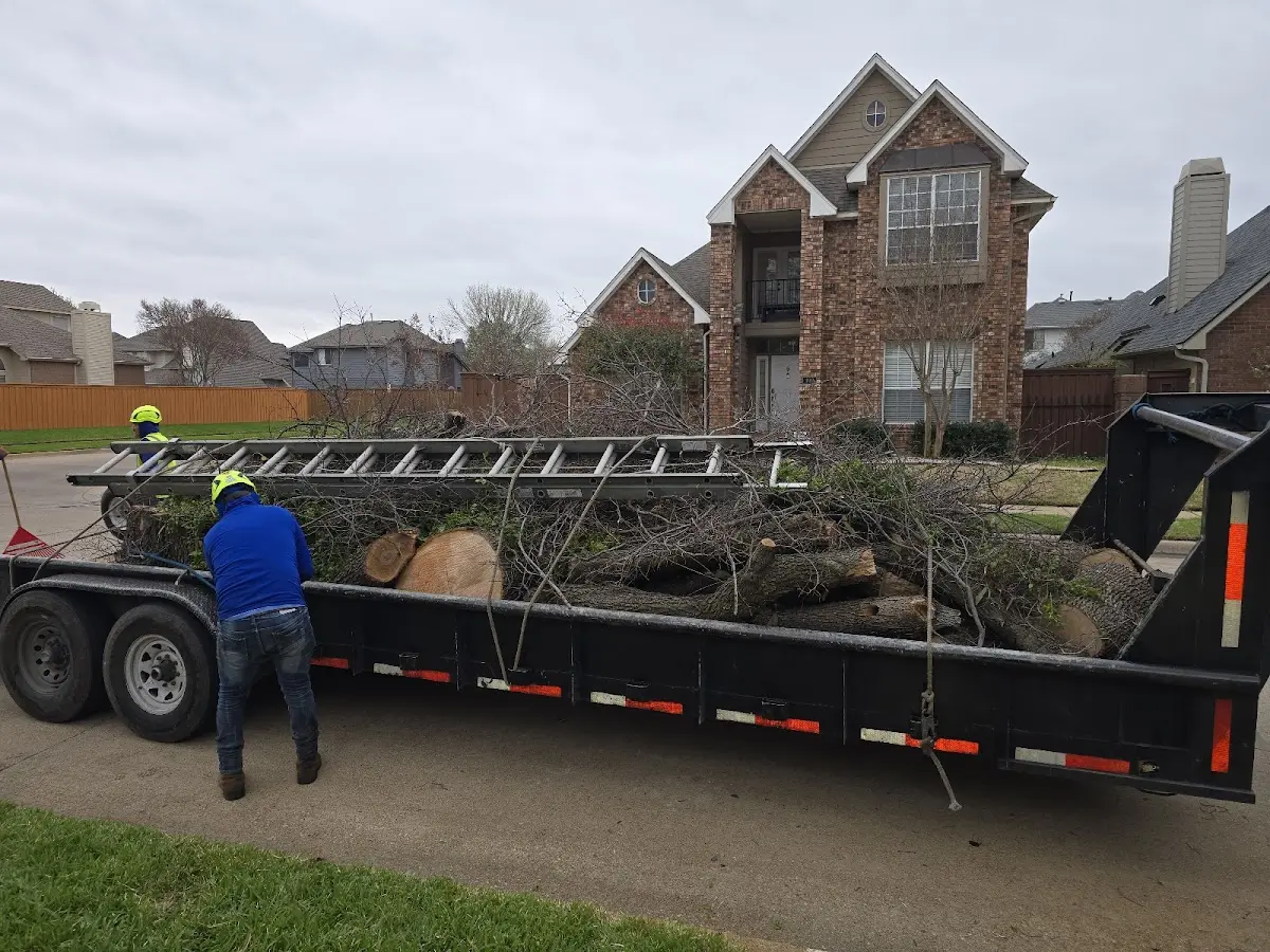Expert Tree Pest Control with proper safety equipment in Lake Ozark